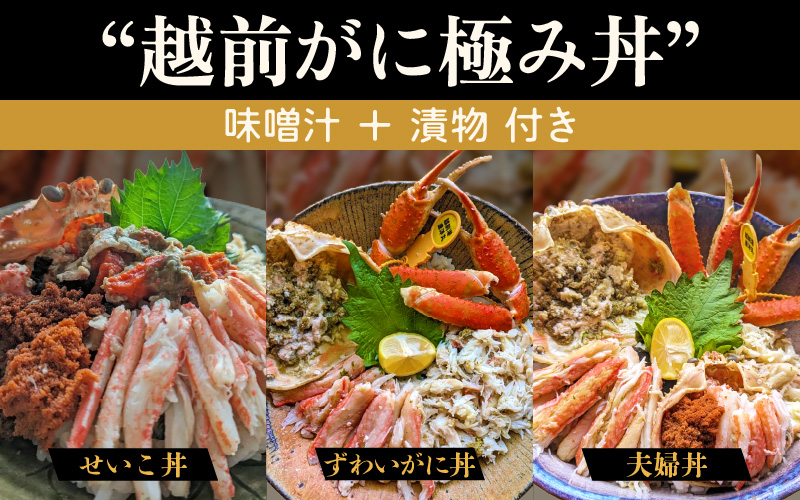 利用券 昼食事券 15,000円分 「日本海が目の前！絶景！お店で食べる 贅沢かに料理 福井県 越前町」【 2年間有効期限 越前かに 食事券 食事 チケット 券 海の幸 カニ料理 蟹 魚介 かに 蟹 海産物 カニ ガニ 贅沢 グルメ 満腹グルメ 】 [e33-e002]