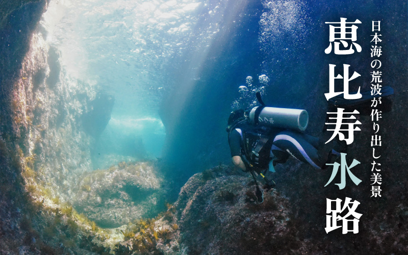 利用券 150,000円分 越前海岸国定公園 『海辺の小さな手作りリゾート ECHIZEN LOG（えちぜんログ）』絶景日本海！越前の海を楽しむ マリンアクティビティ 体験・宿泊・飲食 福井県 越前町【 2年間 有効期限 ダイビング マリン カヤック サップ RV 車 パーク ウミウシ 体験 宿泊 越前かに 券 海の幸 カニ料理 蟹 魚介 かに 蟹 海産物 満腹グルメ 】 [e33-r001]