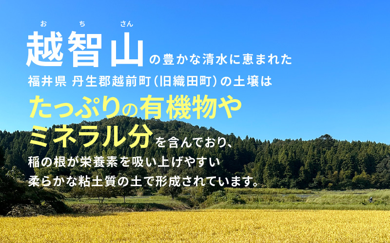 GOLDENもみがら 5kg × 2袋 計10kg以上 1箱【家庭菜園でも使い勝手の良い もみ殻 籾殻  園芸 資材 土壌改良 うるち米 5キロ 小分け 使い勝手 野菜 やさい作り 畑 保温】 [ee35-a047] 