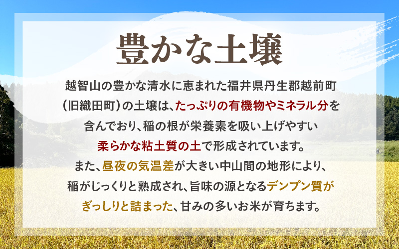 EXTREME くん炭 20L × 1箱（4kg以上）【もみがら燻炭 国産 福井県越前町産 100% くんたん 土壌改良 家庭菜園でも使い勝手の良い もみ殻燻炭 籾殻 園芸 資材 うるち米もみがらくん炭 野菜 やさい作り 畑】 [e35-a042]