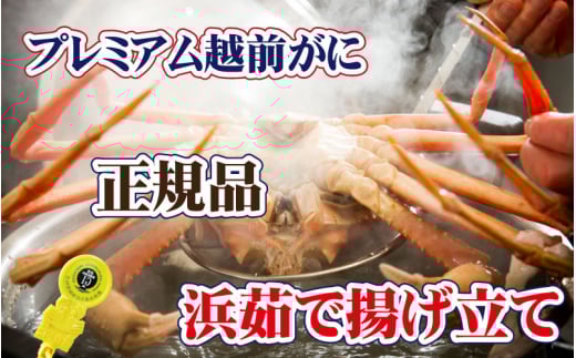 越前がに本場の越前町からお届け！ 越前がに × 1杯（三番蟹）納得のプレミアム越前がに【1月発送分】【浜茹でお届け】希望日指定可 備考欄に希望日をご記入ください [e37-x004【】01b]