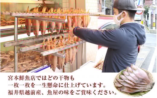 冷蔵配送！ 越前産 赤かれい 干物 大サイズ 6枚 添加物不使用 産地直送！こだわり一夜干し 調理しやすい【魚介 ひもの 干物 赤ガレイ かれい干物 カレイひもの 人気 お取り寄せ グルメ】 [e43-a001]