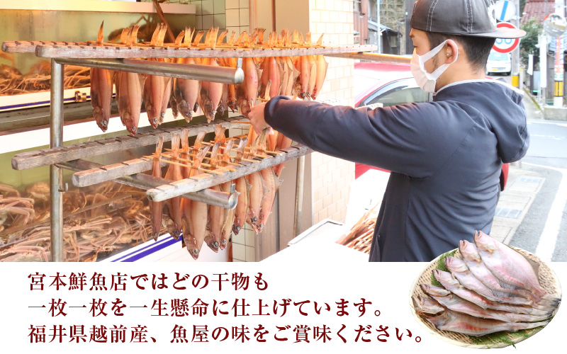 冷蔵配送！ 越前産 赤かれい 干物 中サイズ 6枚 添加物不使用 産地直送！こだわり一夜干し 調理しやすい【魚介 ひもの 干物 赤ガレイ かれい干物 カレイひもの 人気 お取り寄せ グルメ】 [e43-a003]