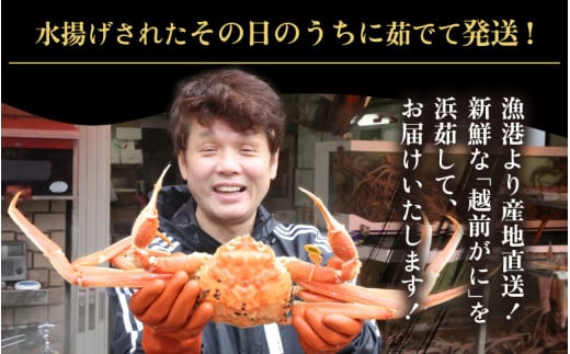 越前がに本場の越前町からお届け！ 越前がに 浜茹で 特大サイズ（生で1.3kg以上） × 1杯【かに カニ 蟹】【福井県 越前町 雄 ズワイガニ ボイル 冷蔵 越前ガニ 越前かに 越前カニ ずわいがに ずわい蟹 かに カニ 蟹】【1月発送分】希望日指定可 備考欄に希望日をご記入ください [e43-x007【】01]