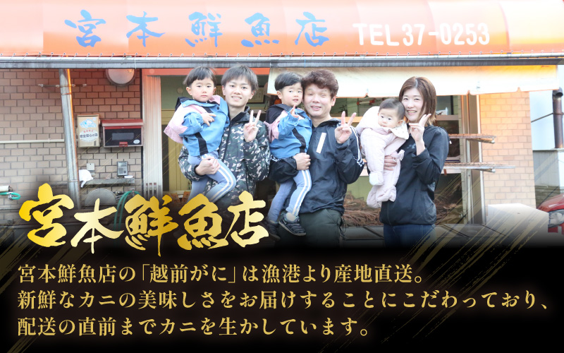 ≪浜茹で≫越前がに 極落ち（生で1.5kg以上） × 1杯【雄 ズワイガニ 越前ガニ 姿 ボイル 冷蔵 かに カニ 蟹 福井県】【3月発送分】希望日指定可 備考欄にメールアドレスをご記入ください [e43-x014【】03]