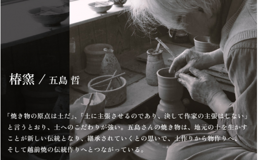 【越前焼】椿窯 越前青磁花入 桐箱入り【花器 はないれ おしゃれ インテリア 伝統工芸品 陶器 陶磁器】 [e45-n001]