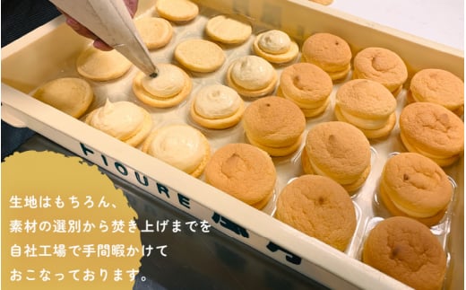 ふわっふわブッセ 「ヌーブ」 5種 × 各3個 （計15個入） カスタード 苺 バナナ チョコレート コーヒー【スイーツ 人気 ご当地 小分け 冷凍 ギフト 福井県】 [e46-a002]