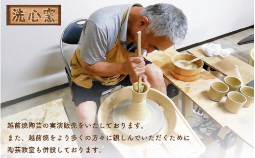 【越前焼】洗心窯 手作りカップ ＆ ソーサー（皿付き）1客【伝統工芸品 コーヒーカップ セット おしゃれ シンプル】 [e48-a002]