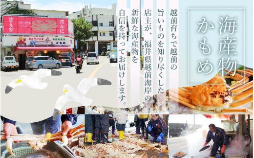 越前がに本場の越前町からお届け！越前がに 浜茹で 大サイズ（生で約0.9～1kg） × 1杯 約2人前 食べ応えあり！【かに カニ 蟹】【福井県 越前町 雄 ズワイガニ ボイル 冷蔵 越前ガニ 越前かに】【1月発送分】 [e49-x002【】01]