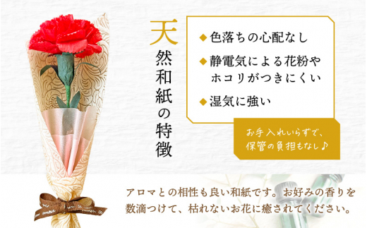 【先行予約】【母の日】カーネーション 花 ギフト 越前和紙 花一輪挿し 【2026年5月発送】「永遠の感謝」 メッセージ【カラー：ピンク】【 フラワーギフト 和紙花 手軽 コンパクト 枯れない  メッセージカード １万円以下】 [e51-a004_02]