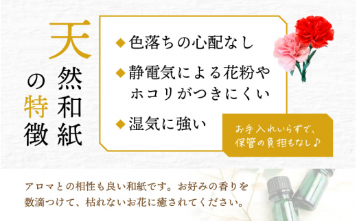 【先行予約】【母の日】カーネーション ブーケ 花 ギフト 越前和紙 花 【2026年5月発送】「永遠の感謝」 メッセージ【カラー：ピンク】【 フラワーギフト 和紙花 手軽 コンパクト 枯れない  メッセージカード 】 [e51-a005【】02]