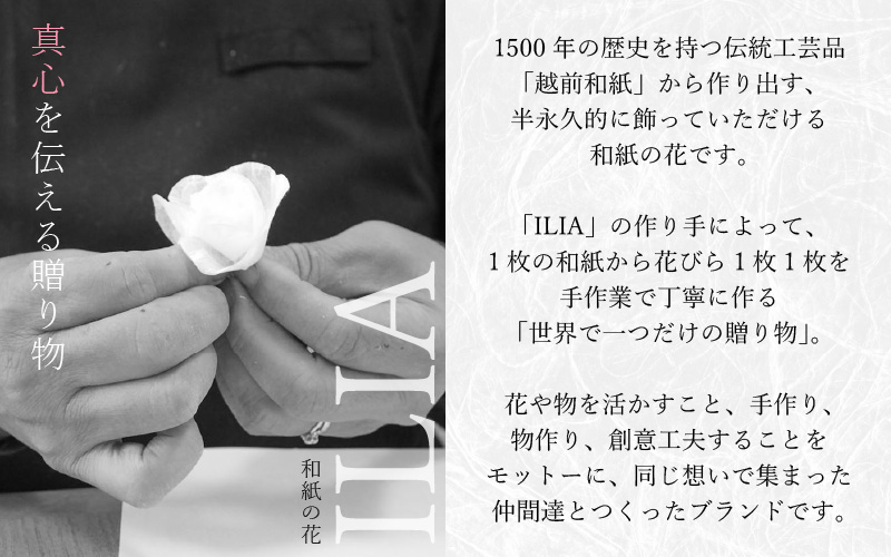 【先行予約】敬老の日限定 そのまま飾れる フラワーアレンジメント 生花【2026年9月18日～9月21日発送】感謝を大切な人に メッセージカード付・越前和紙 小花一輪付【ギフト 手軽 花 華 おしゃれ プレゼント 敬老の日 シルバー 花瓶いらず 水替え無 】 [e51-a011]