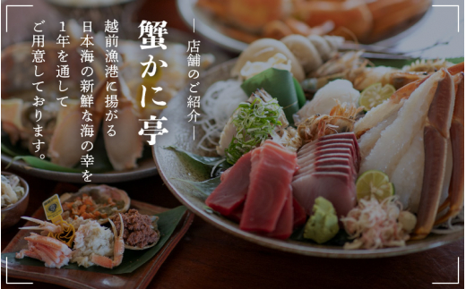 越前がに本場の越前町からお届け！ 越前がに 浜茹で 大サイズ（生で約0.9～1kg） × 2杯 約4人前 食べ応え十分！かにの食べ方しおり付き【かに カニ 蟹】【福井県 越前町 雄 ズワイガニ ボイル 冷蔵 越前ガニ 越前かに 越前カニ ずわいがに ずわい蟹 かに カニ 蟹】【1月発送分】希望日指定可 備考欄に希望日をご記入ください [e57-x002【】01]