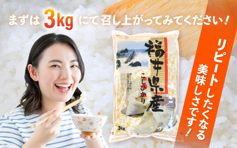令和7年産 新米 米 3kg 精米 コシヒカリ 福井県産《14日以内に出荷予定》【白米 3キロ こしひかり 少量 お米 人気品種 産地直送 新生活 kome】 [e66-a012]