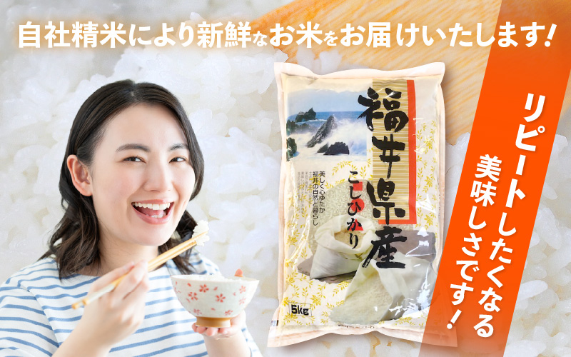 令和7年産 新米 米 5kg 精米 コシヒカリ 福井県産《14日以内に出荷予定》【白米 5キロ こしひかり お米 ごはん 人気品種 産地直送 新生活 kome】 [e66-a013]