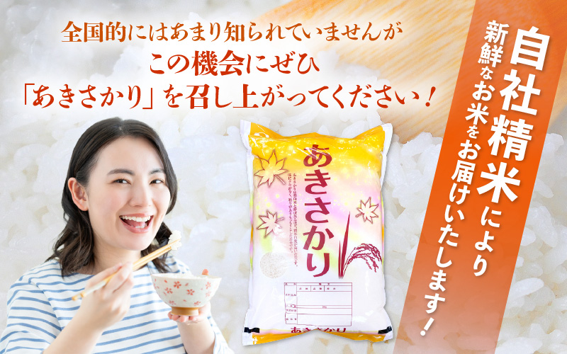 【期間限定】令和7年産 新米 米 5kg 精米 あきさかり 福井県産《14日以内に出荷予定》【白米 5キロ アキサカリ お米 ごはん 人気品種 産地直送 新生活 kome】 [e66-a014]