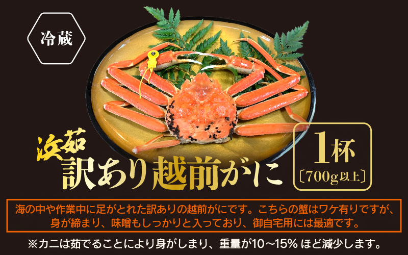 【訳あり】≪浜茹で≫越前がに 1杯（生で700g前後）【雄 ズワイガニ かに カニ 蟹 越前ガニ 姿 ボイル 冷蔵 福井県】【2月発送分】希望日指定可 備考欄に希望日をご記入ください [e68-x006【】02]