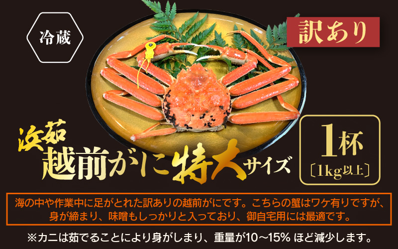【訳あり】≪浜茹で≫越前がに 特大サイズ 1杯（生で1kg以上）【雄 ズワイガニ かに カニ 蟹 越前ガニ 姿 ボイル 冷蔵 福井県】【1月発送分】希望日指定可 備考欄に希望日をご記入ください [e68-x007【】01]
