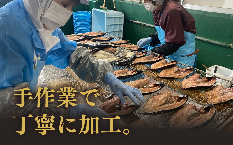 無添加 国産 干物 おまかせ3種食べ比べセット【季節のひもの 海鮮 詰め合わせ おまかせ 冷凍 ひもの 魚 おかず 魚介 アジ サバ ハタハタ カレイカマス】 [e80-a007]