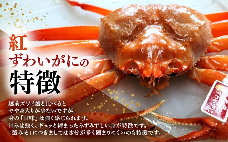 【訳あり】≪浜茹で≫越前産 紅ずわいがに × 1杯（生で約880g～1kg）【紅ズワイガニ カニ かに 蟹】【紅ずわいがに】【12月発送分】 [e80-x001【】12]