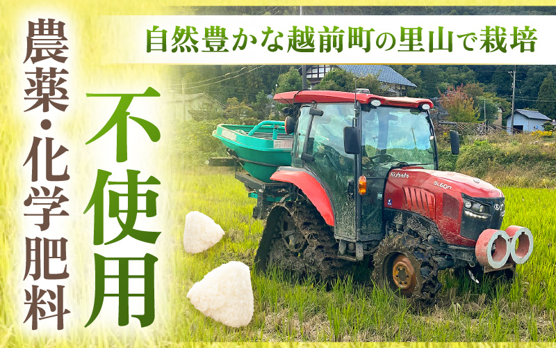 【期間限定】【令和7年産 】 特別栽培米コシヒカリ3kg 無農薬米 福井県認証区分1取得 越前町【白米】【3キロ お米 コメ 農薬化学肥料不使用 送料無料】 [e81-a003_01]