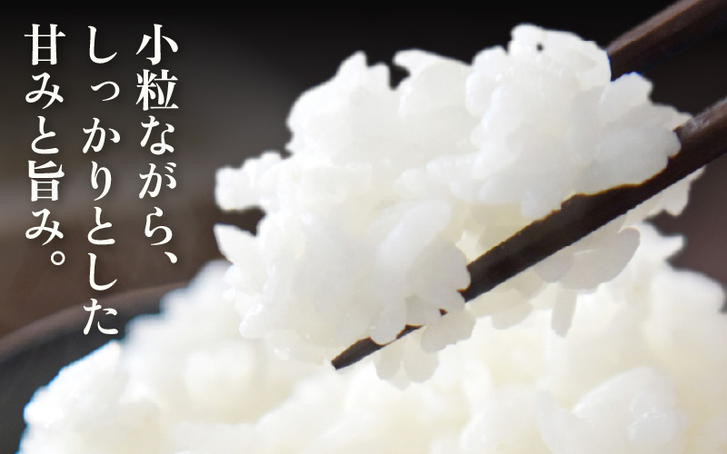 【生活応援米】定期便 ≪3ヶ月連続お届け≫  令和7年産 特別栽培米5kg × 3回（合計15kg）福井県越前町産【白米】【お米 コメ kome 5キロ  白米 玄米 家庭用 農薬5割減】 [e81-c001_01]