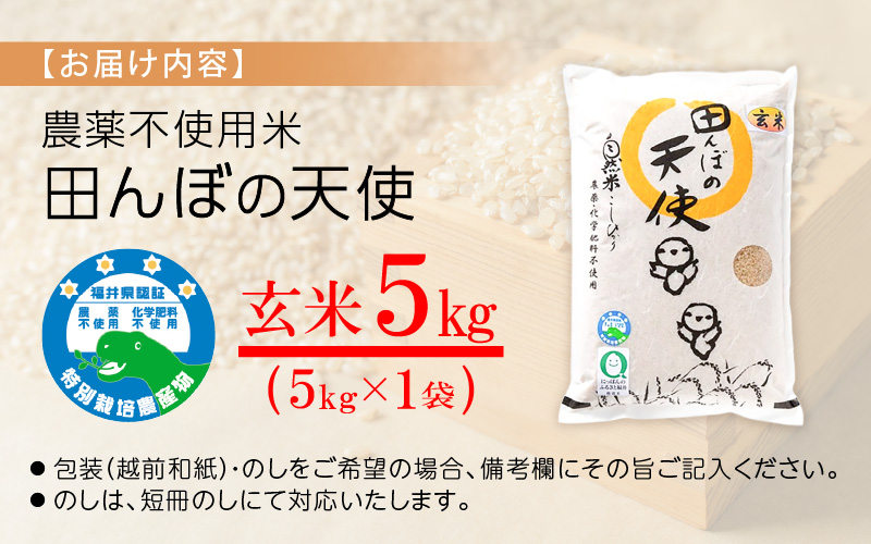 【令和7年産】農薬不使用 特別栽培米コシヒカリ5kg【玄米】福井県認証区分1取得「田んぼの天使」越前町【5キロ お米 コメ 農薬化学肥料不使用 送料無料】 [e10-b007]