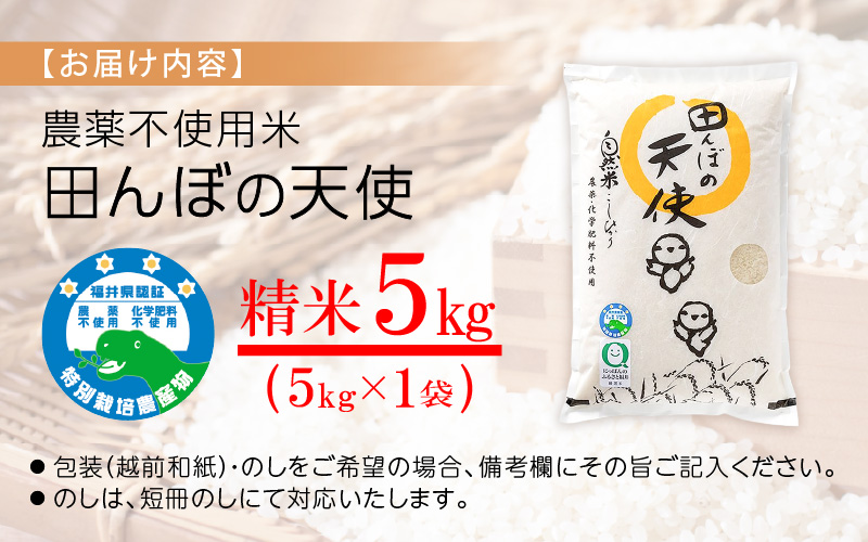 【令和7年産】農薬不使用 特別栽培米コシヒカリ5kg【精米】 福井県認証区分1取得「田んぼの天使」越前町【5キロ お米 コメ 農薬化学肥料不使用 送料無料】 [e10-b008]