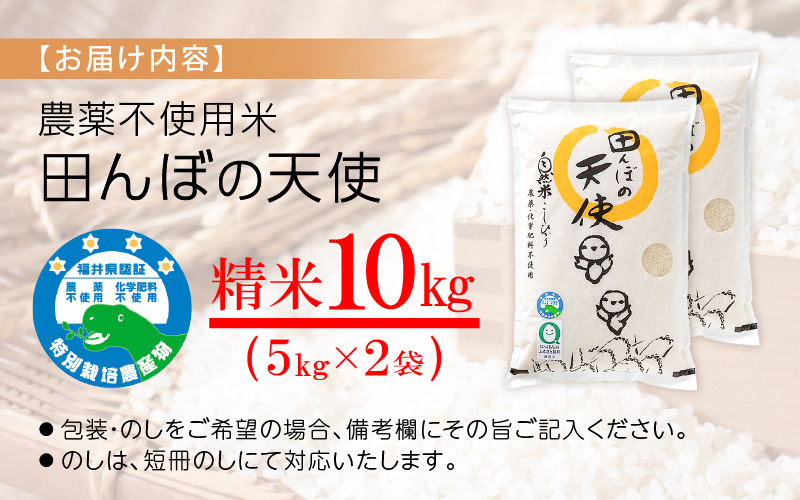 【令和7年産】農薬不使用 特別栽培米コシヒカリ10kg（5kg×2）【精米】福井県認証区分1取得「田んぼの天使」越前町 【10キロ お米 コメ 農薬化学肥料不使用 送料無料】 [e10-d005]