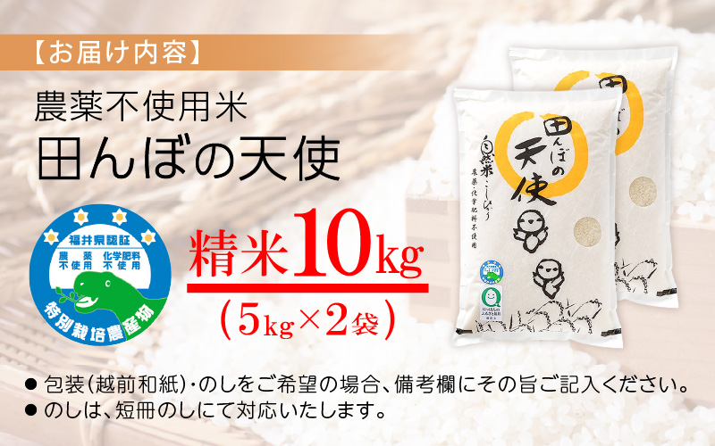 【令和7年産】農薬不使用 特別栽培米コシヒカリ10kg（5kg×2）【精米】福井県認証区分1取得「田んぼの天使」越前町 【10キロ お米 コメ 農薬化学肥料不使用 送料無料】 [e10-d005]