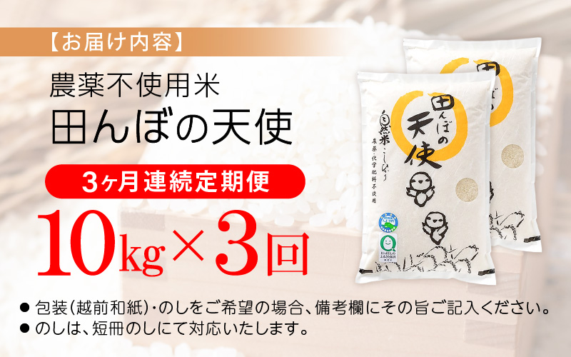 《3ヶ月定期便》農薬不使用 こしひかり 10kg（5kg×2袋）×3ヶ月連続 計30kg 令和7年産 特別栽培米コシヒカリ【精米】福井県認証区分1取得「田んぼの天使」越前町【5キロ お米 コメ 農薬化学肥料不使用 送料無料】 [e10-k002]