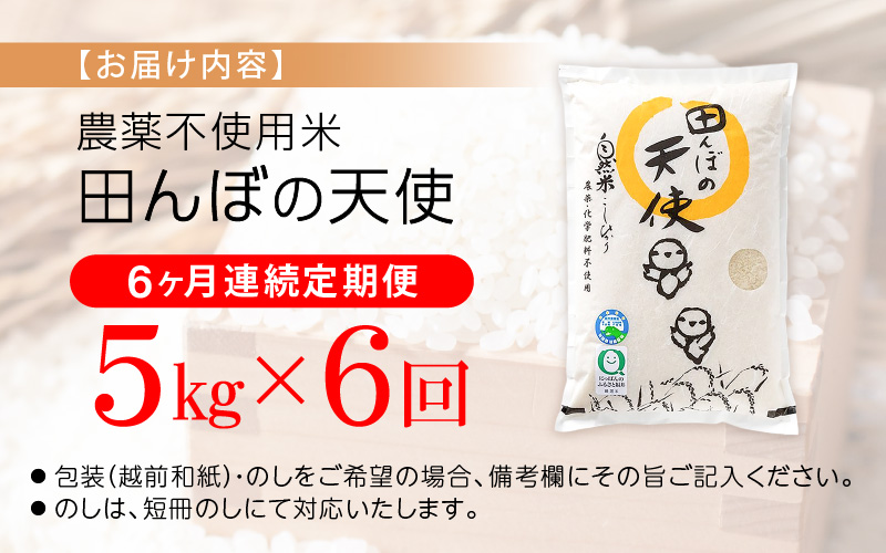 《6ヶ月定期便》農薬不使用 こしひかり 5kg×6ヶ月連続 計30kg 令和7年産 特別栽培米コシヒカリ【精米】福井県認証区分1取得「田んぼの天使」越前町 【5キロ お米 コメ 農薬化学肥料不使用 送料無料】 [e10-k003]