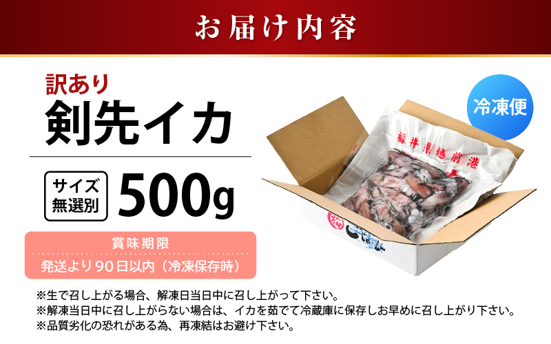 【急速冷凍】【訳あり】生いか 天然ケンサキイカ サイズ無選別 500g 定置網漁 皮むけ・サイズ不揃い【剣先いか 生イカ いか 白イカ いかめし いか焼き 姿焼き げそ 煮付け 海鮮 鮮魚 おつまみ】 [e15-a061]