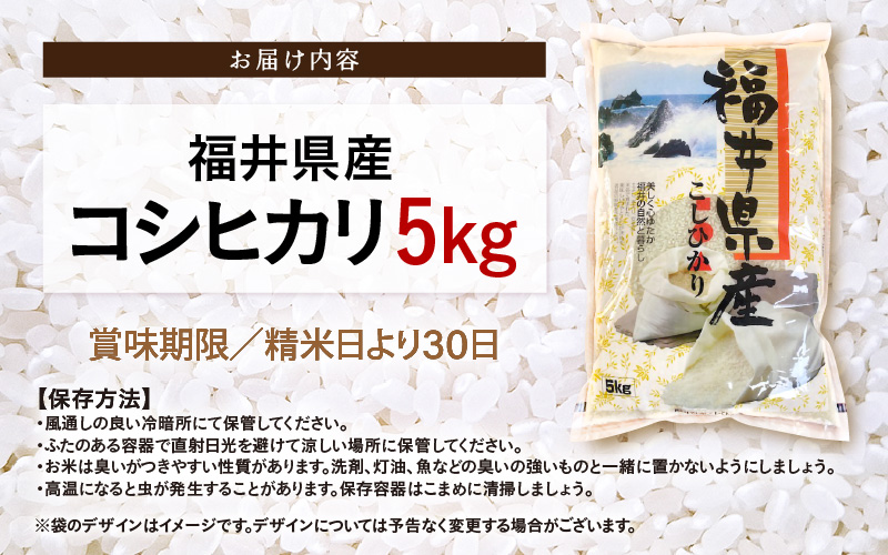 令和7年産 新米 米 5kg 精米 コシヒカリ 福井県産《14日以内に出荷予定》【白米 5キロ こしひかり お米 ごはん 人気品種 産地直送 新生活 kome】 [e66-a013]