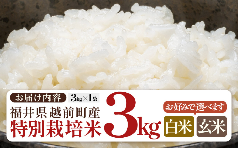 【生活応援米】令和7年産 米 特別栽培米 3kg 福井県越前町産 【玄米】【お米 コメ kome 3キロ 家庭用 白米 玄米 農薬5割減】 [e81-a001_02]