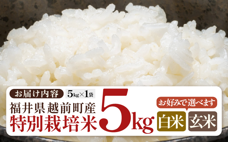 【生活応援米】令和7年産 米 特別栽培米 5kg 福井県越前町産 【玄米】【お米 コメ kome 5キロ 家庭用 白米 玄米 農薬5割減】 [e81-a002_02]
