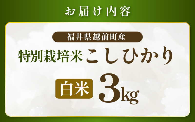 【期間限定】【令和7年産 】 特別栽培米コシヒカリ3kg 無農薬米 福井県認証区分1取得 越前町【白米】【3キロ お米 コメ 農薬化学肥料不使用 送料無料】 [e81-a003_01]