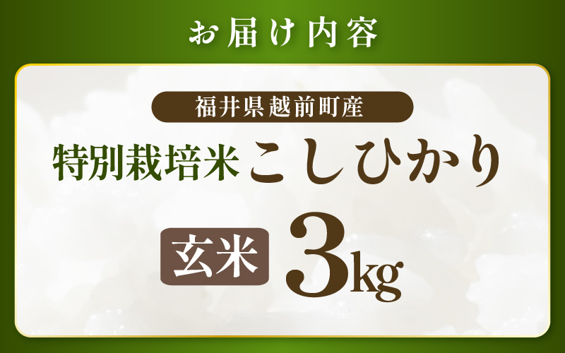 【期間限定】【令和7年産 】 特別栽培米コシヒカリ3kg 無農薬米 福井県認証区分1取得 越前町【玄米】【3キロ お米 コメ 農薬化学肥料不使用 送料無料】 [e81-a003_02]