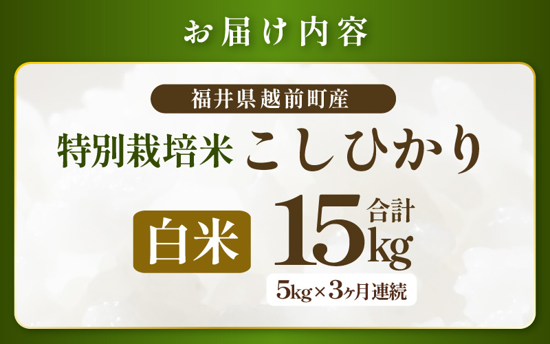 【期間限定】 定期便 ≪3ヶ月連続お届け≫【令和7年産 】特別栽培米コシヒカリ5kg × 3回（合計15kg）【白米】 無農薬米 福井県認証区分1取得 越前町【5キロ お米 コメ 農薬化学肥料不使用 送料無料】 [e81-f002_01]