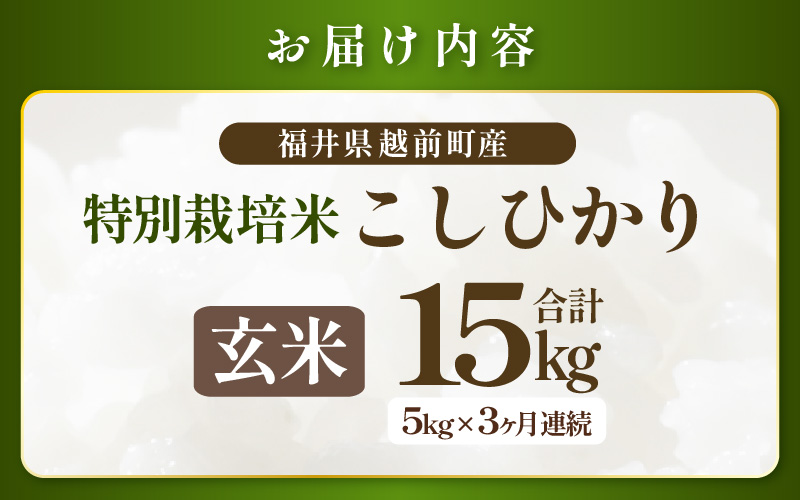 【期間限定】 定期便 ≪3ヶ月連続お届け≫【令和7年産 】特別栽培米コシヒカリ5kg × 3回（合計15kg）【玄米】 無農薬米 福井県認証区分1取得 越前町【5キロ お米 コメ 農薬化学肥料不使用 送料無料】 [e81-f002_02]