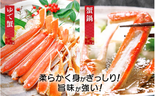 越前がに本場の越前町からお届け！越前がに 浜茹で≪梅セット≫1～2人前 かに酢 かにの食べ方しおり かにスプーン付き【1月発送分】【小サイズ：300～400g × 2杯（※茹で前重量）】[e04-x009【】01b]