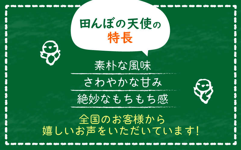 《6ヶ月定期便》農薬不使用 こしひかり 5kg×6ヶ月連続 計30kg 令和7年産 特別栽培米コシヒカリ【精米】福井県認証区分1取得「田んぼの天使」越前町 【5キロ お米 コメ 農薬化学肥料不使用 送料無料】 [e10-k003]