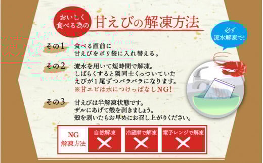 甘えび 大サイズ35～40尾（計500g）船内凍結 福井県沖から直送！鮮度と旨味に自信あり【福井漁連 ブランド品 甘エビ あまえび 】 [e12-a040]