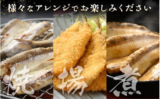 食べやすい越前の魚！骨取り メギス 開き 約1kg（50尾前後）500g × 2袋 網元漁師「福丸」厳選！【ニギス にぎす さかな めぎす おかず グルメ 小分け 冷凍 個包装 グルメ 惣菜  魚介類 海鮮 焼魚 フライ 揚げ物 バーベキュー】 [e15-a023]
