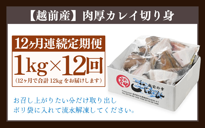 定期便 ≪12ヶ月連続お届け≫ 使い勝手抜群！福井県網元漁師が厳選 肉厚な越前産カレイの切り身（無塩）1kg × 12回 計12kg 【 たっぷり 焼き魚 煮付け バラ凍結便利 】 [e15-e004]