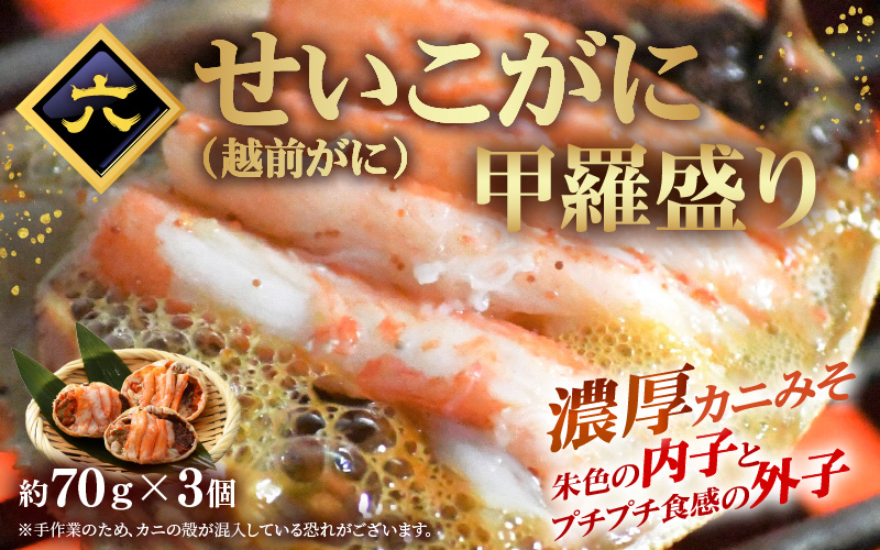 定期便 ≪6ヶ月連続お届け≫ お楽しみ 海鮮 セット【カニ ずわいがに えび 明太子 鯖 カレイ漬け丼 冷凍 小分け 】 [e15-g002]