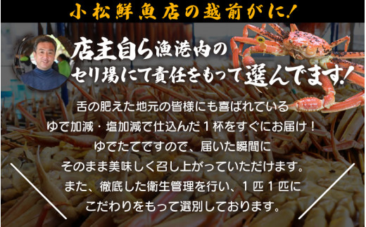 【訳あり】越前がに本場の越前町からお届け！足折れ 越前がに 浜茹で 大サイズ（生で0.9～1kg） × 1杯【かに カニ 蟹】【福井県 越前町 雄 ズワイガニ ボイル 冷蔵 越前ガニ 越前かに 越前カニ ずわいがに ずわい蟹 かに カニ 蟹】【2月発送分】希望日指定可 備考欄に希望日をご記入ください [e23-x002【】02]