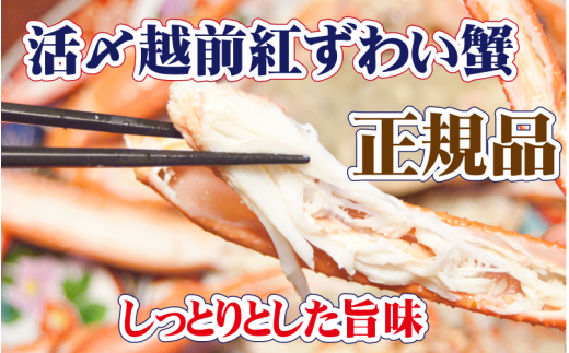 活〆越前 紅ずわいがに × 1杯 旨味満載！！【浜茹で 紅ズワイガニ 紅ずわい蟹 かに カニ 蟹 姿 ボイル 冷蔵 福井県】【6月発送分】希望日指定不可 [e37-x001【】06b]