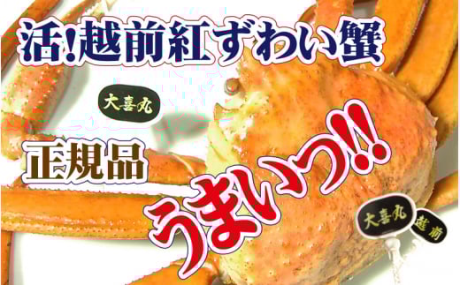 活！越前 紅ずわいがに × 1杯 旨味満点！！【紅ズワイガニ 紅ずわい蟹 かに カニ 蟹 姿 生 ボイル 冷蔵 福井県】【4月発送分】【生でお届け】希望日指定不可 [e37-x002【】04a]