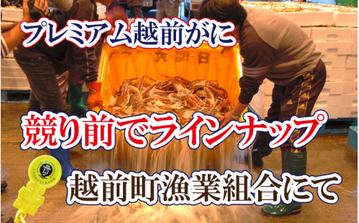 誉れ高き越前がに「皇室献上級」 × 1杯 桐箱入り！【雄 ズワイガニ ずわいがに 姿 生 ボイル 冷蔵 福井県】【2月発送分】【生でお届け】希望日指定可 備考欄に希望日をご記入ください [e37-x011【】02a]